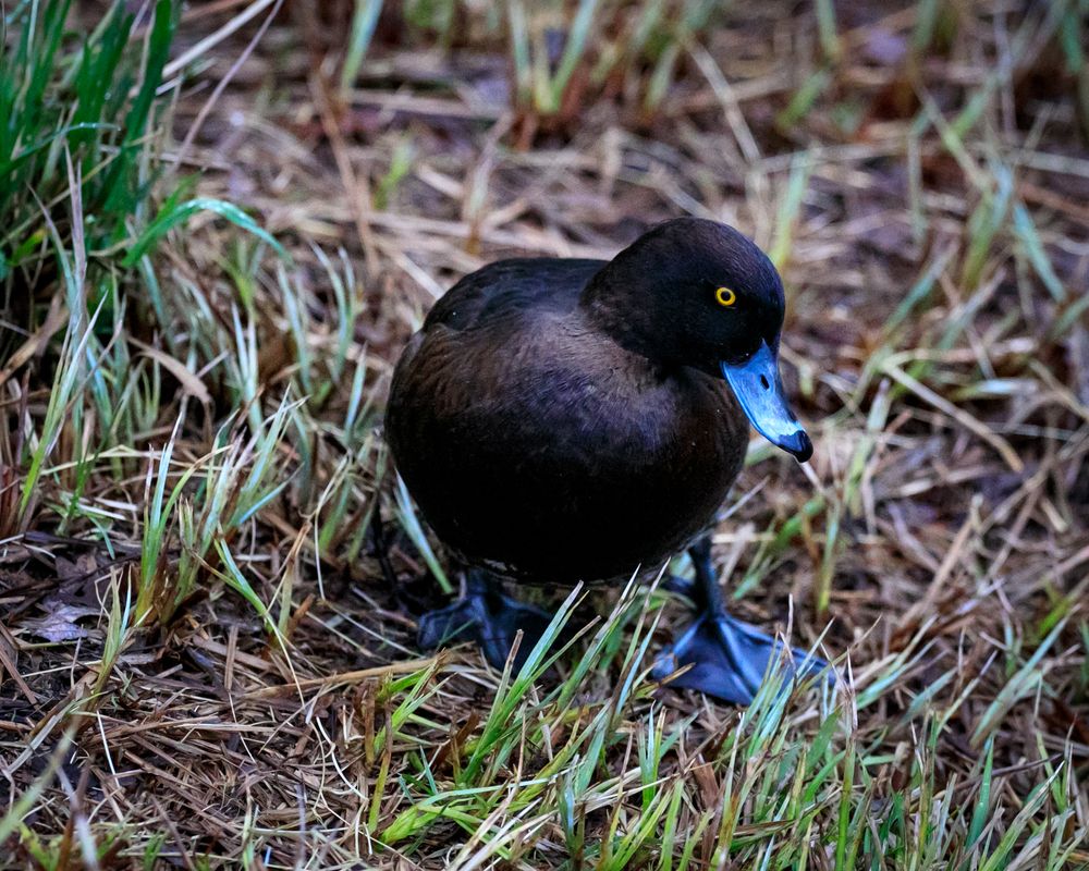 Photograph by Галина Кирикова