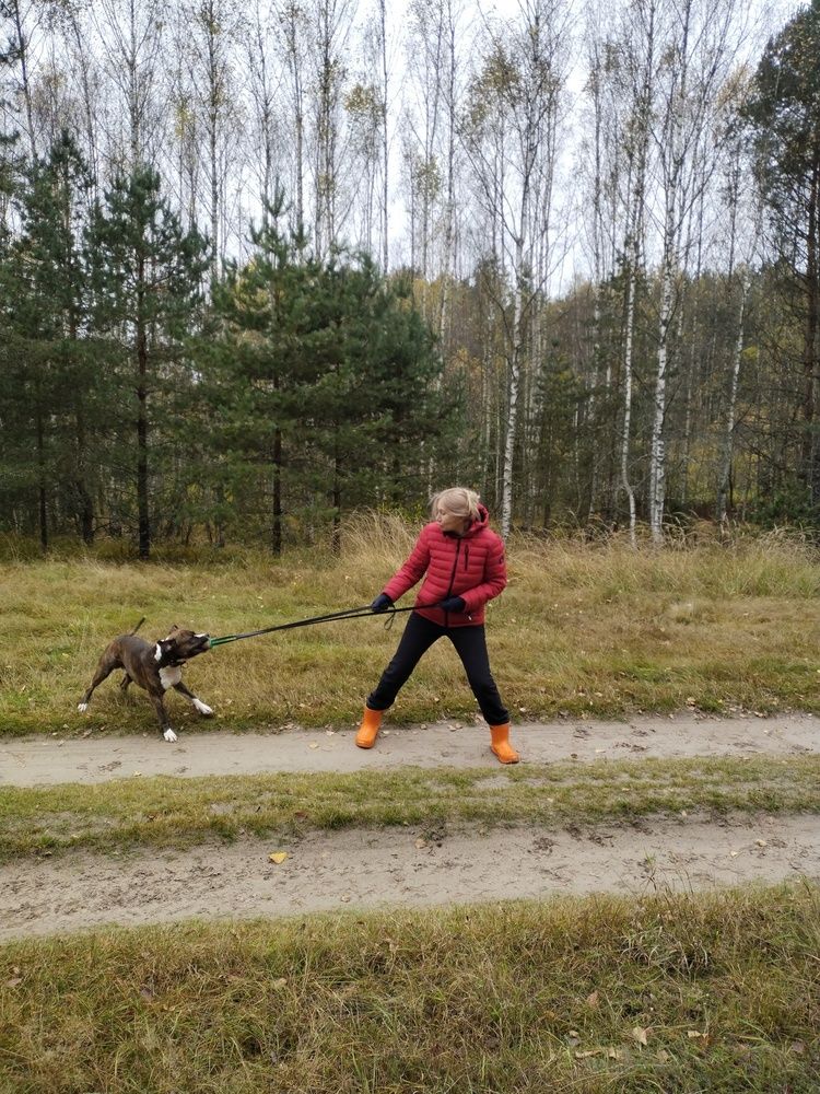 Photograph by Алексей Егоров