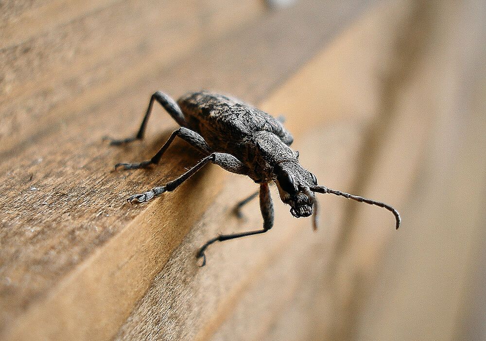 Photograph by Константин Громов