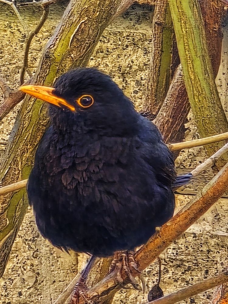 Photograph by Светлана