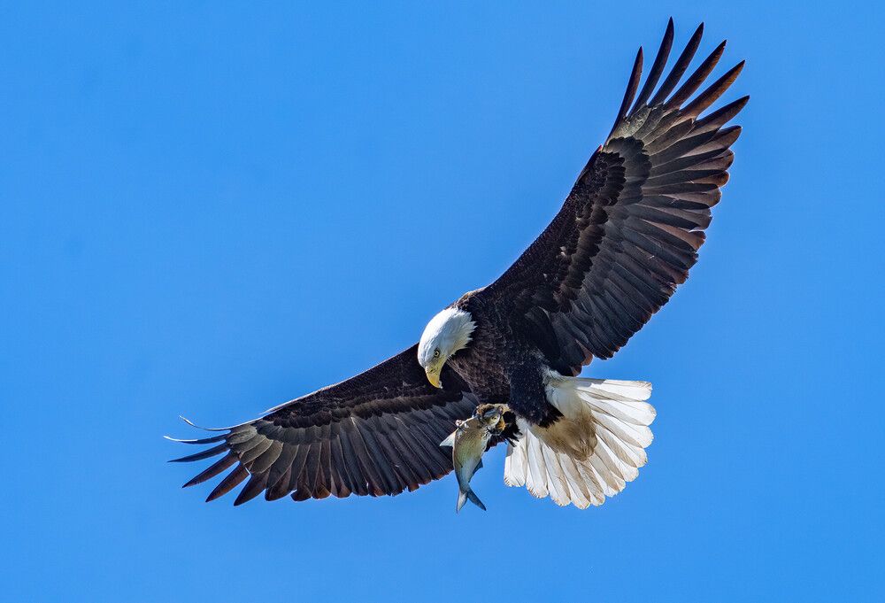 Photograph by Nitin Baste