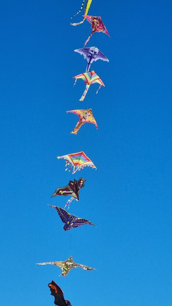 Photograph by Светлана