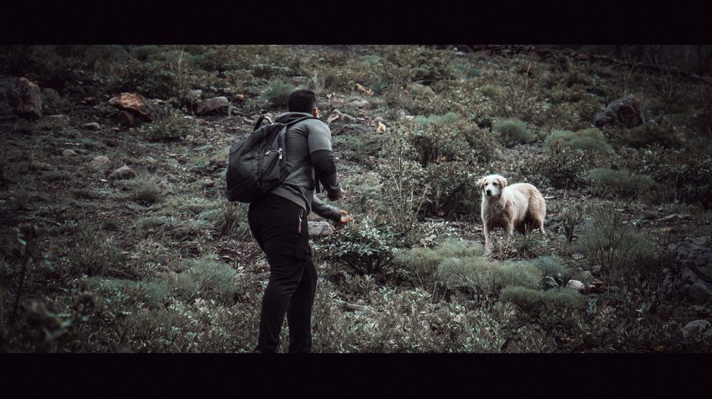 Photograph by Parsa Mohammadinejad