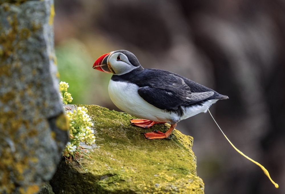 Photograph by Nitin Baste