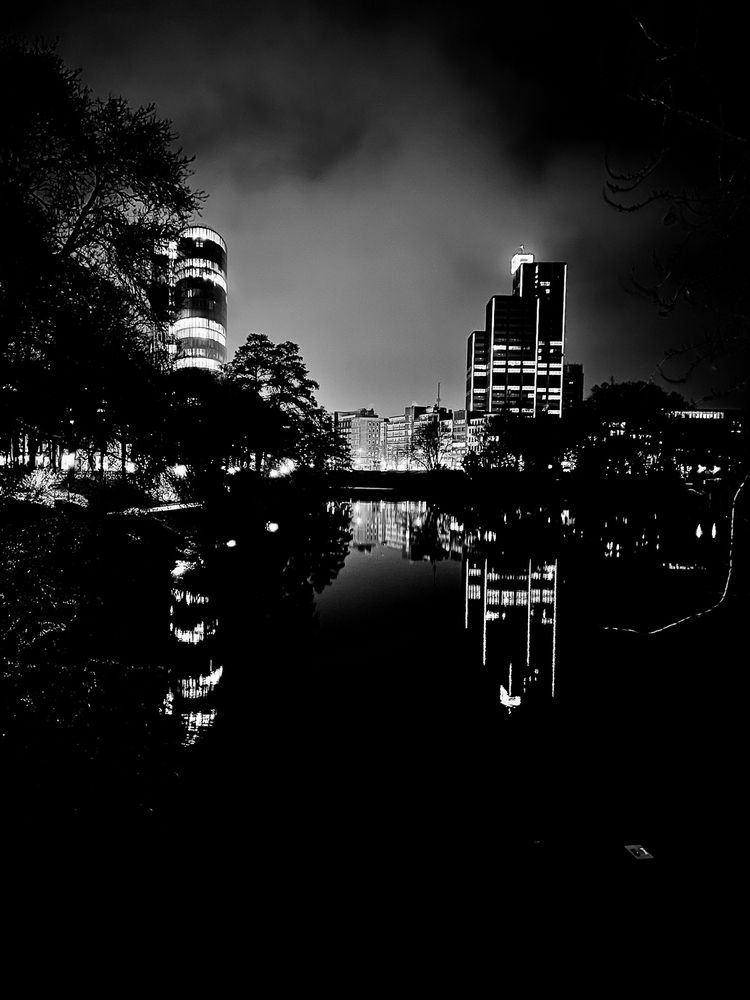 Monochrome Night