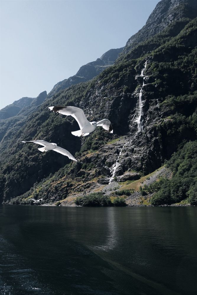 Фотография автора Виктория Трущенко