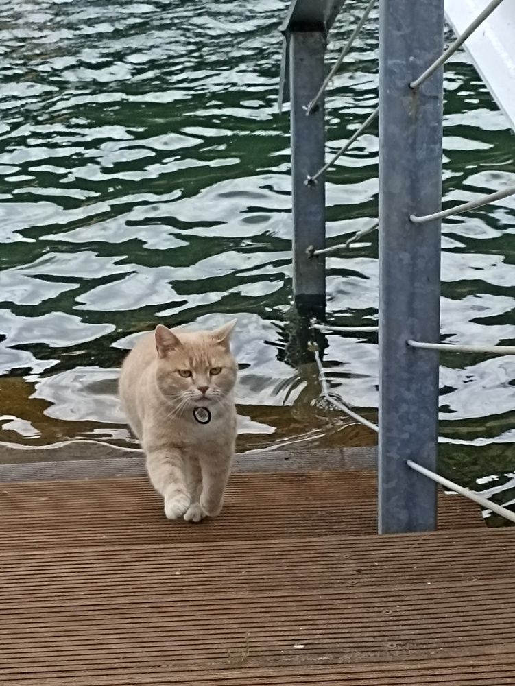 Photograph by Viktoryia М