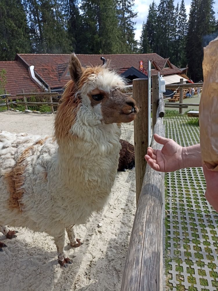 Photograph by Viktoryia М