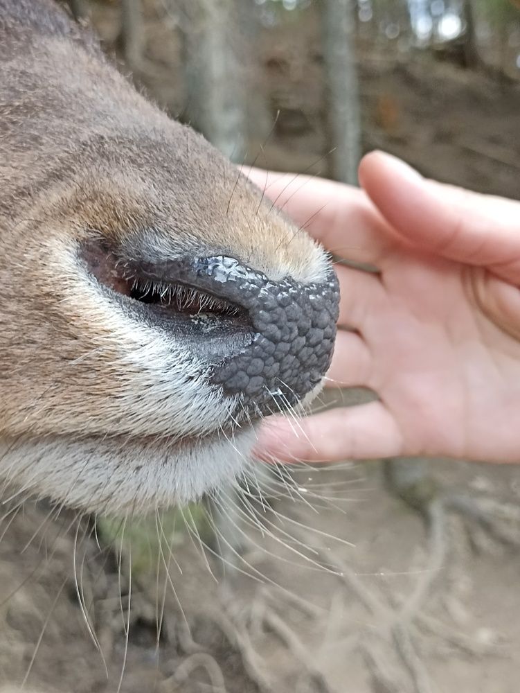 Photograph by Viktoryia М