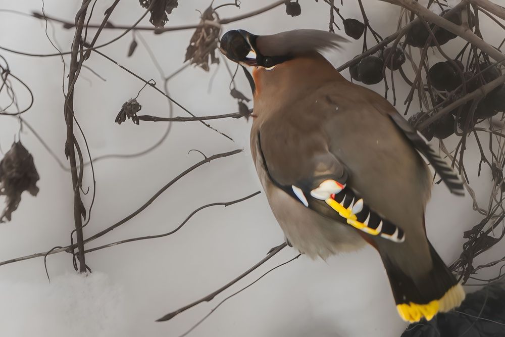 Photograph by Марина Вильдяева