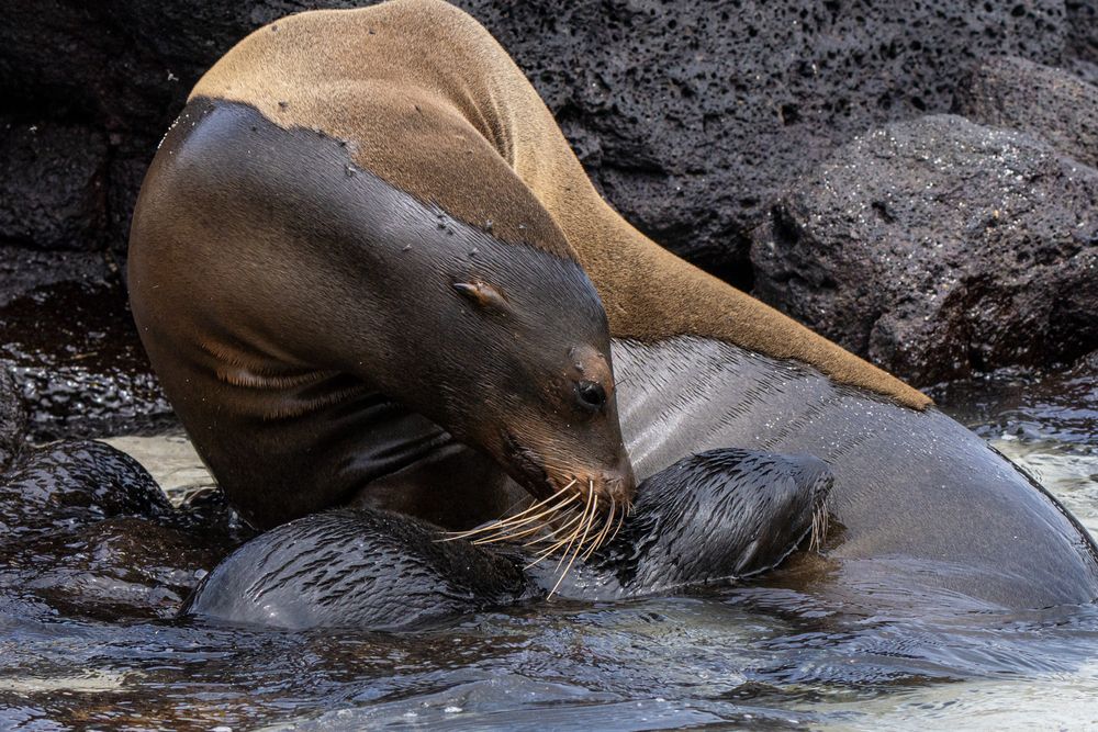 Photograph by Julia A Caesar