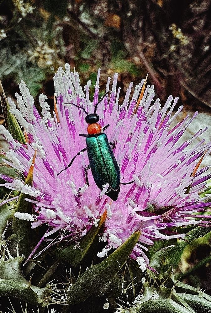 Photograph by Юлия Порфирьева