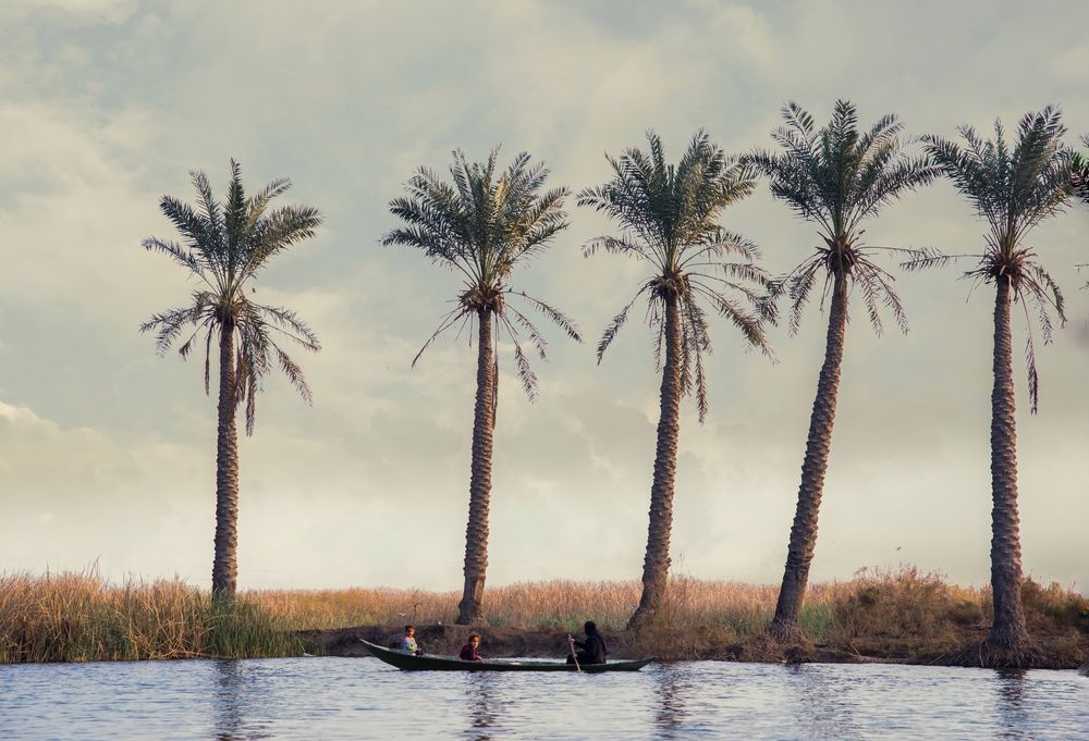 Photograph by wadaa Alaumry