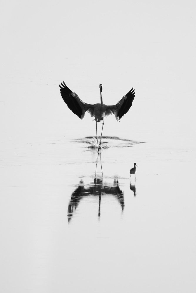 Photograph by kevin chavez solis