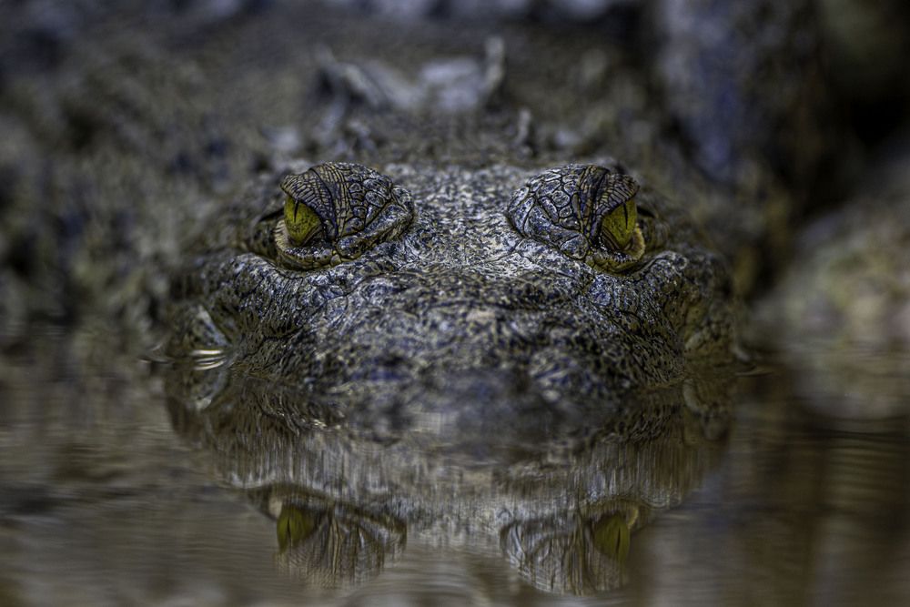 Photograph by kevin chavez solis