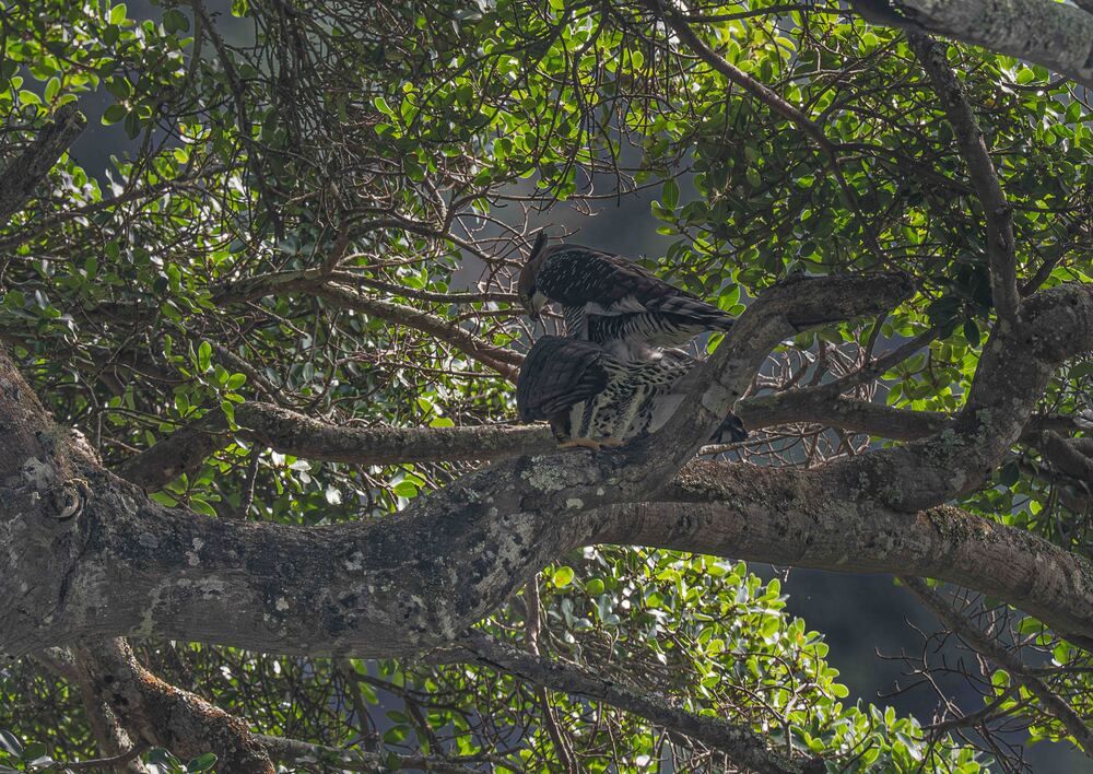 Photograph by Alberto Camardiel