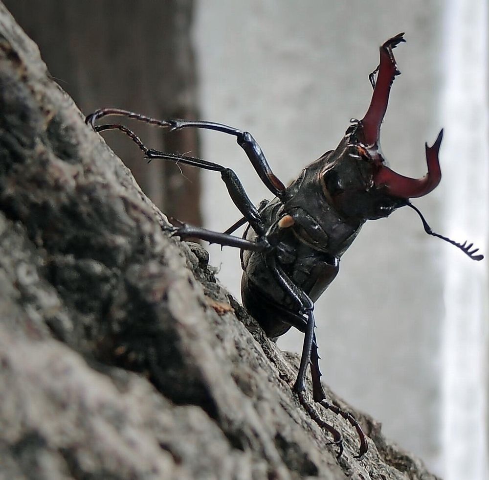 Фотография автора Савоцкий Роман