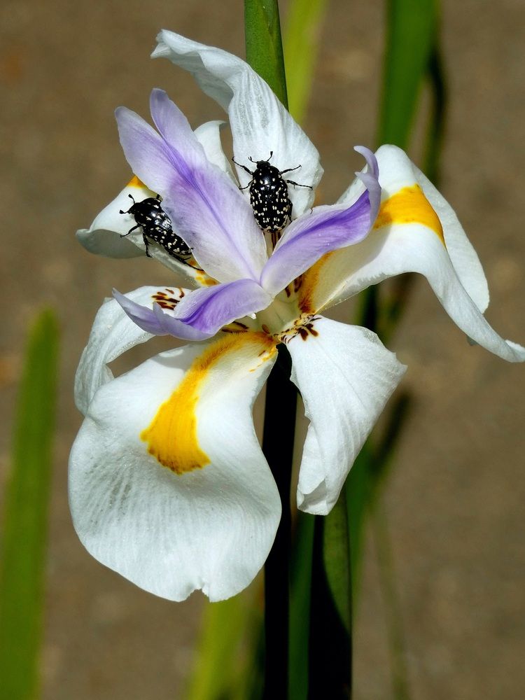 Photograph by Марина