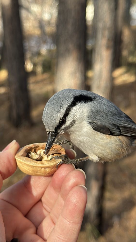 Photograph by Марина Мишутина