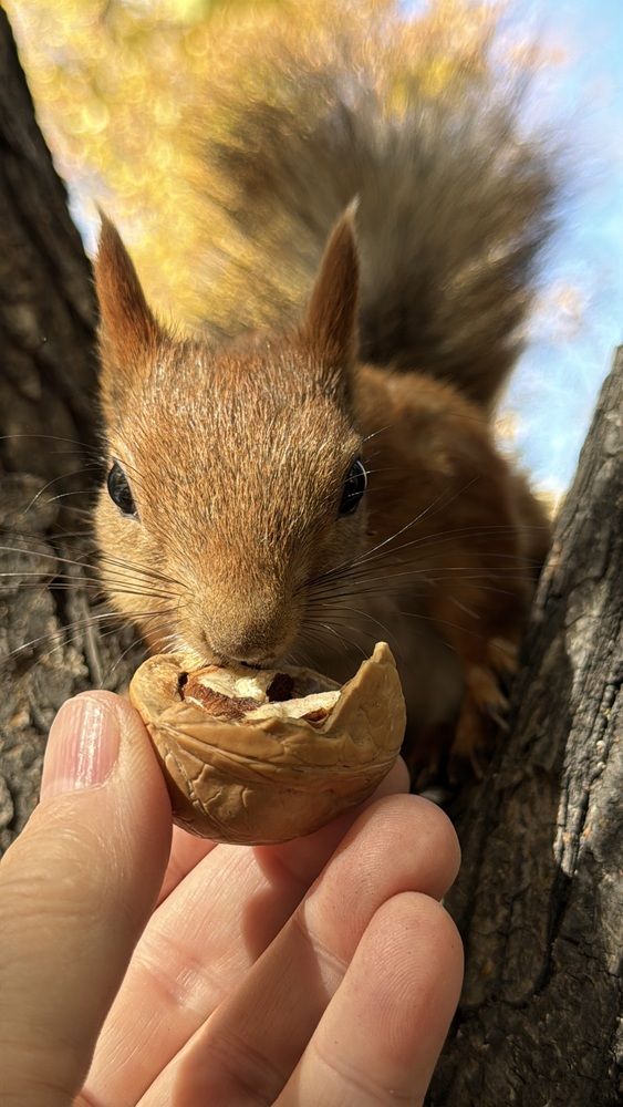 Photograph by Марина Мишутина