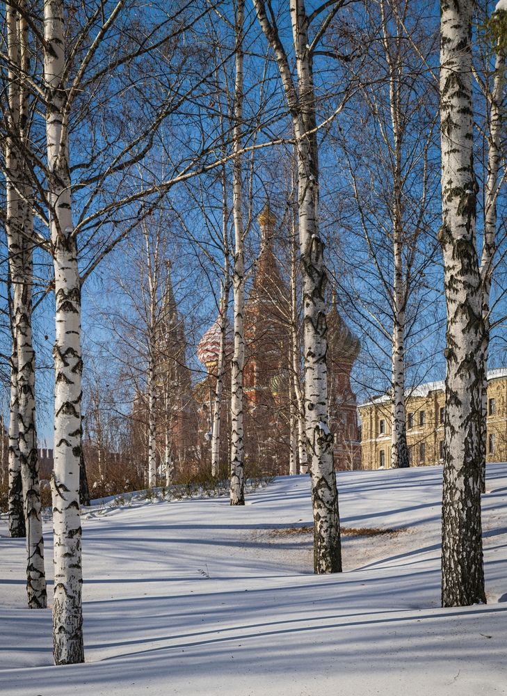Фотография автора Сергей Басов