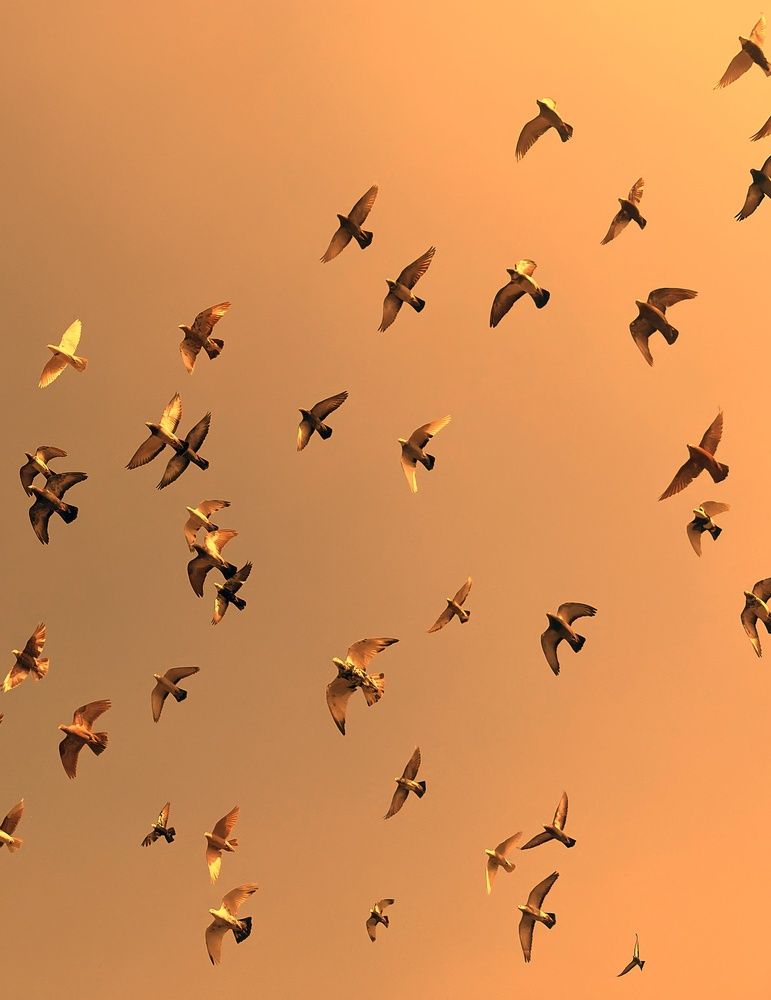 Photograph by Nishant Raj