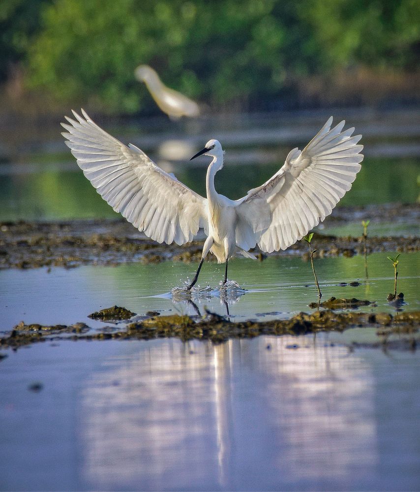 Photograph by Nishant Raj