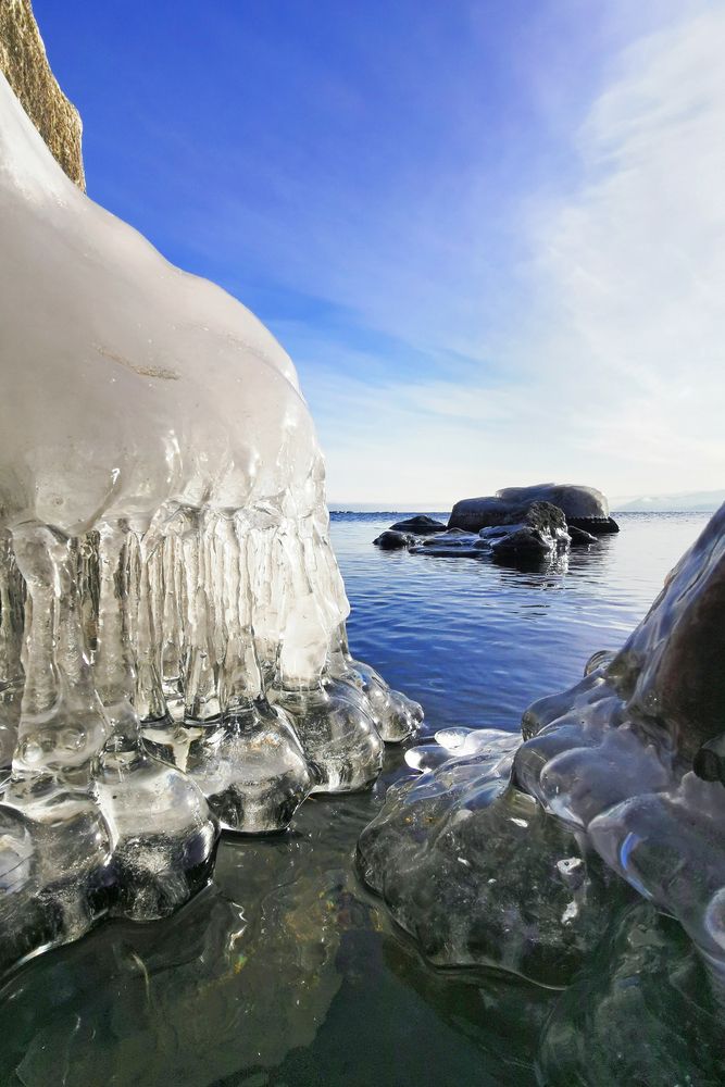 Ледяные медузы