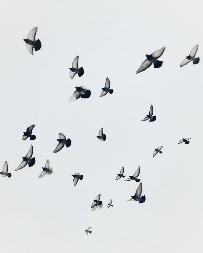 Photograph by Наталья Простова