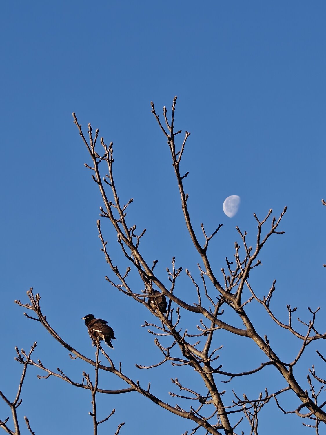 Photo #13209957
