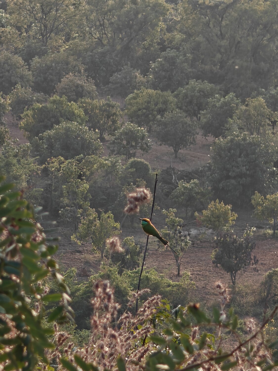 Photo #13209959