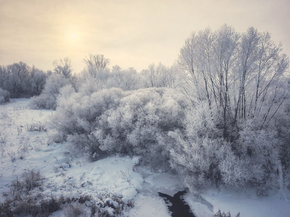 Photograph by Анна Якубинас