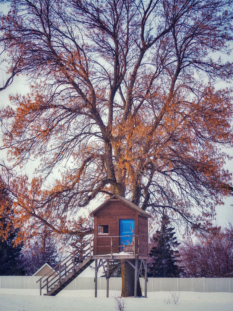 Фотография автора Camilo Rojas