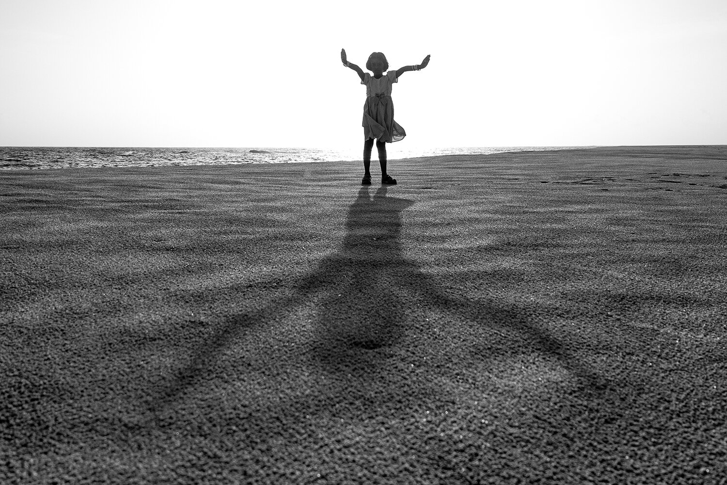 Photo #13210029