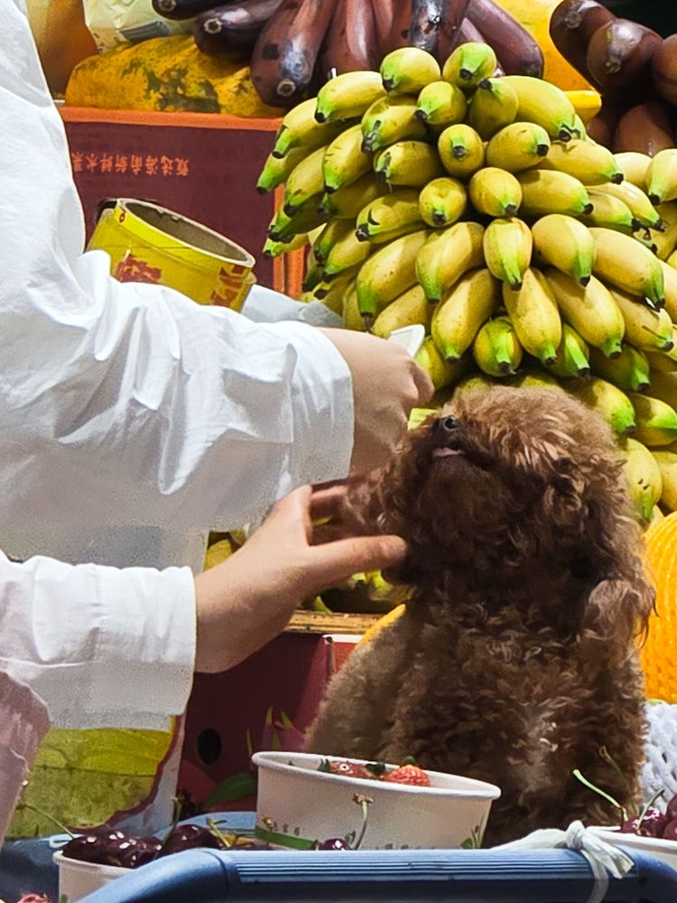 Photograph by Ирина Хлебникова