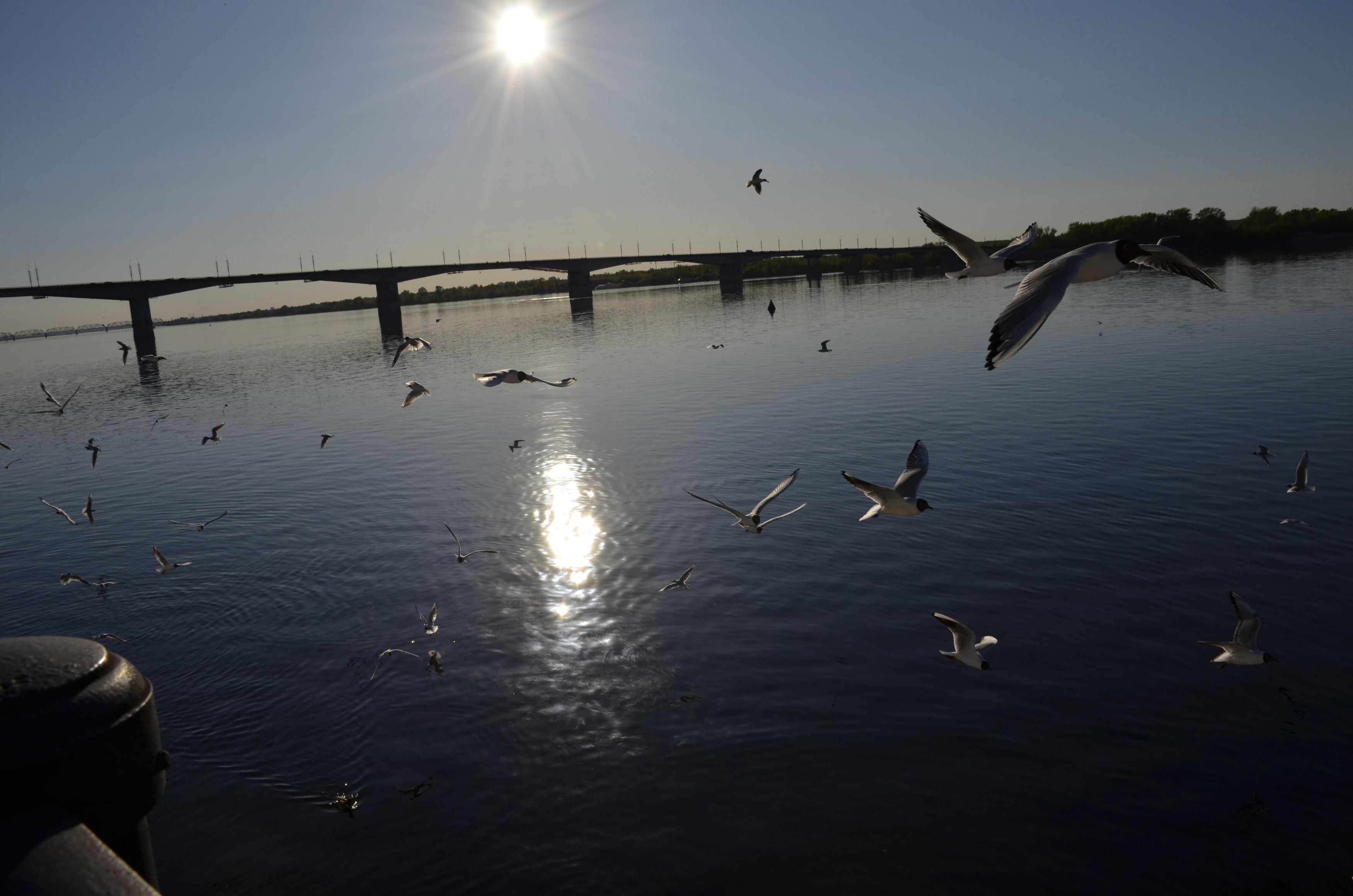 Photograph by Алексей Власов