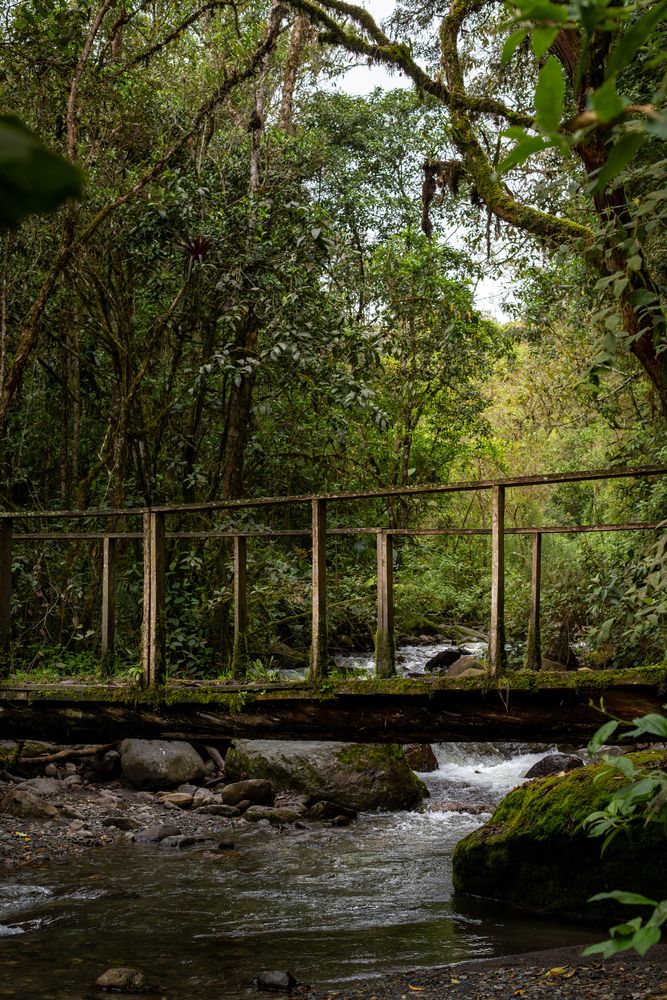 Photograph by Kevin Williams Huamán Clímaco