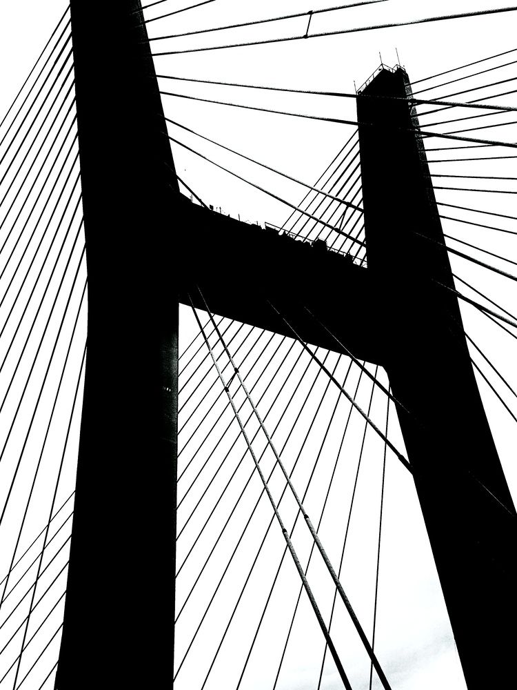 Фотография автора Бороздина Мария