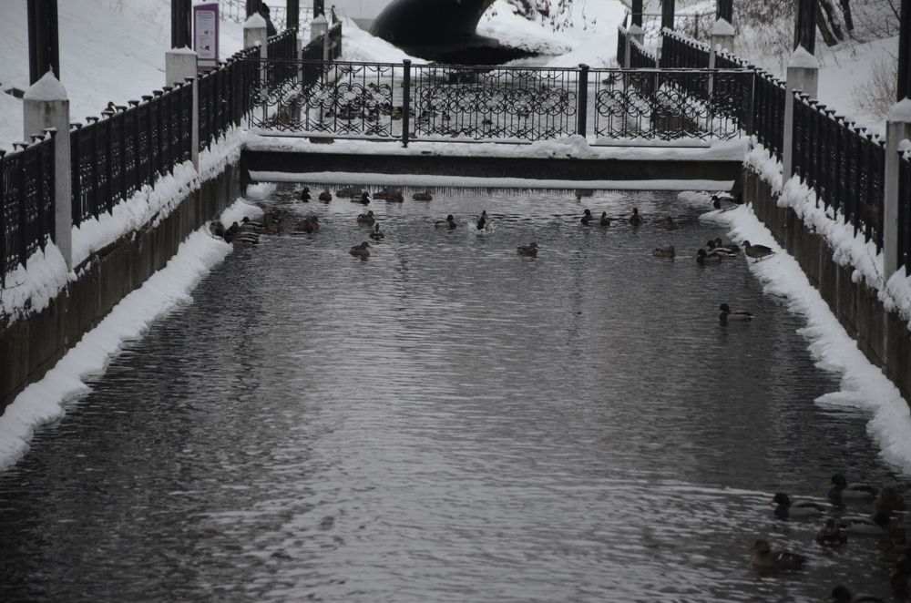 Photograph by Алексей Власов