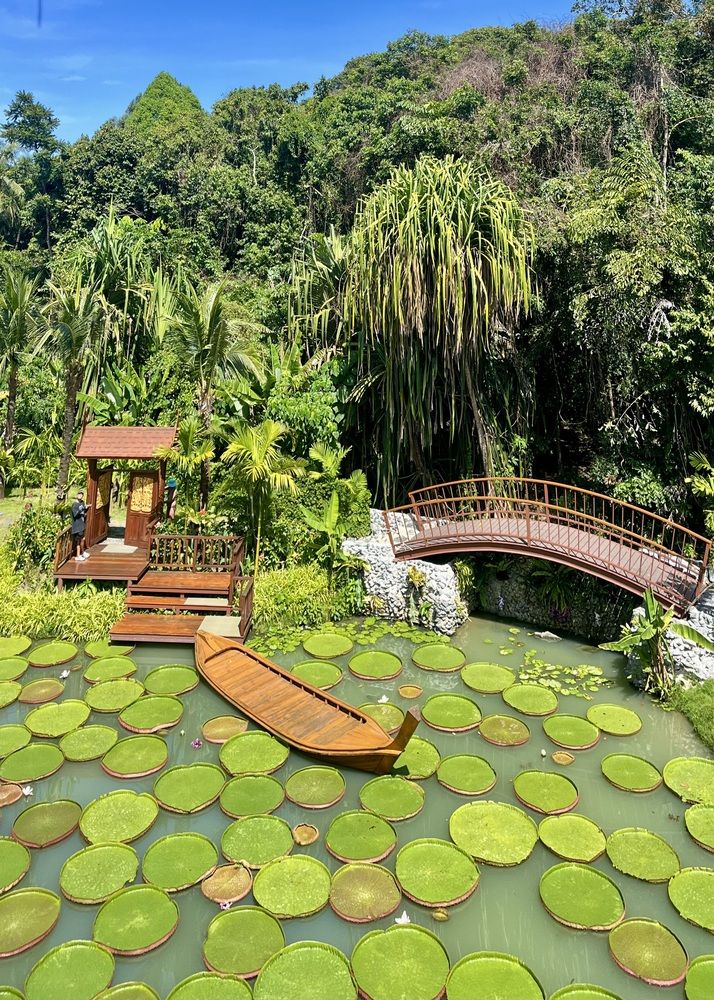 Фотография автора Ольга Белоусова