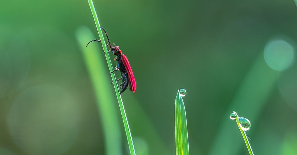 Photograph by Алексей