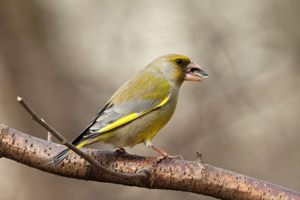 Photograph by Волынский Виктор
