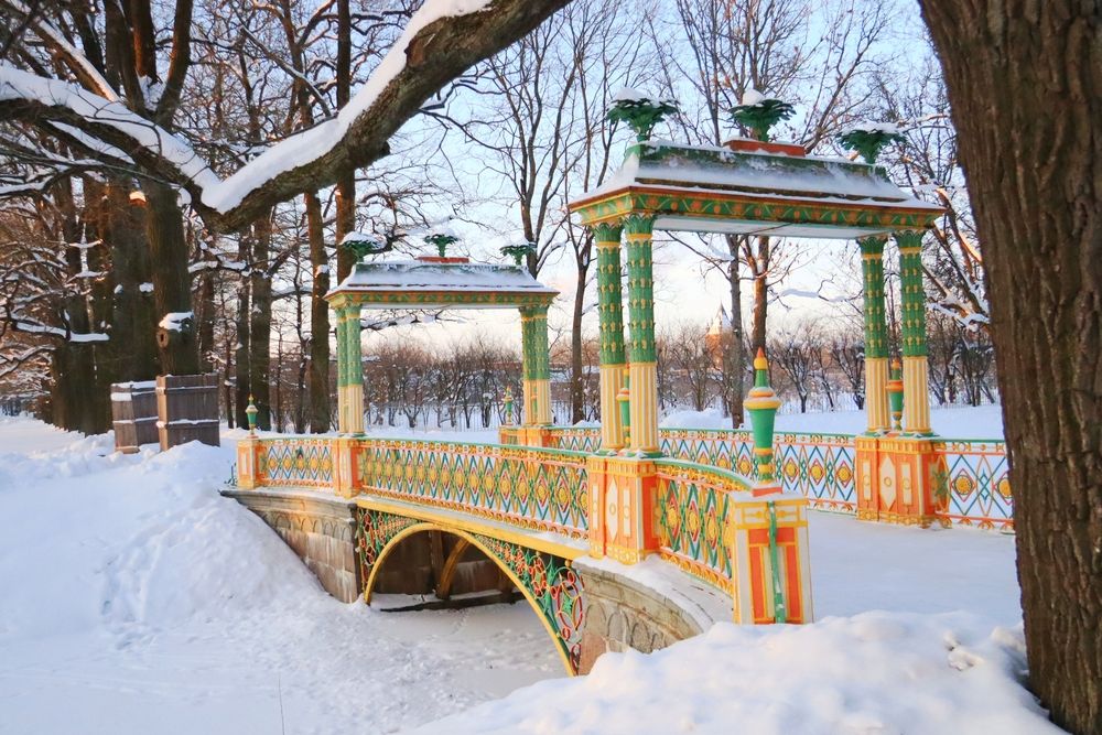 Фотография автора Юлия Чешко