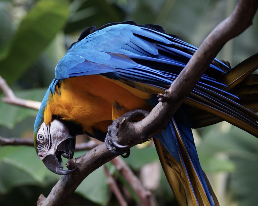 Photograph by Оксана