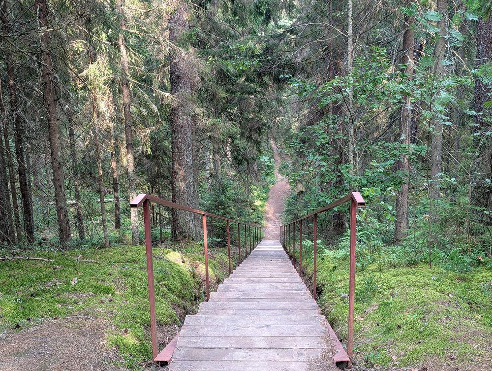 Photo #13210315