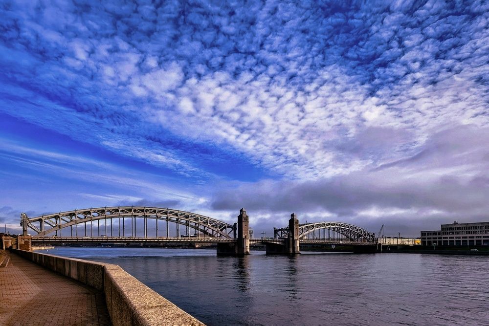 Фотография автора Татьяна Бравая