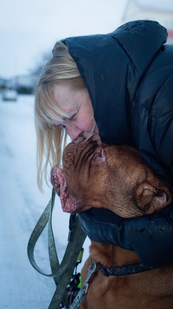 Фотография автора Геннадий Ломеко