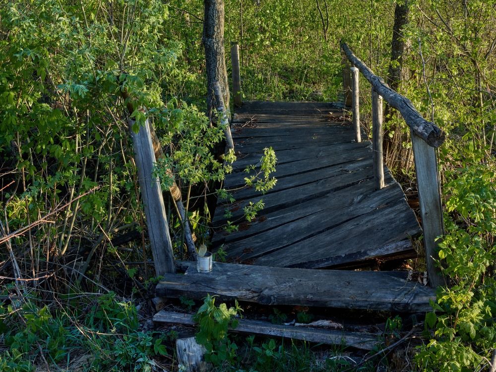 Фотография автора Дьяченко Игорь