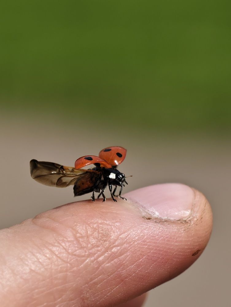 Photograph by Евгений Аксененко