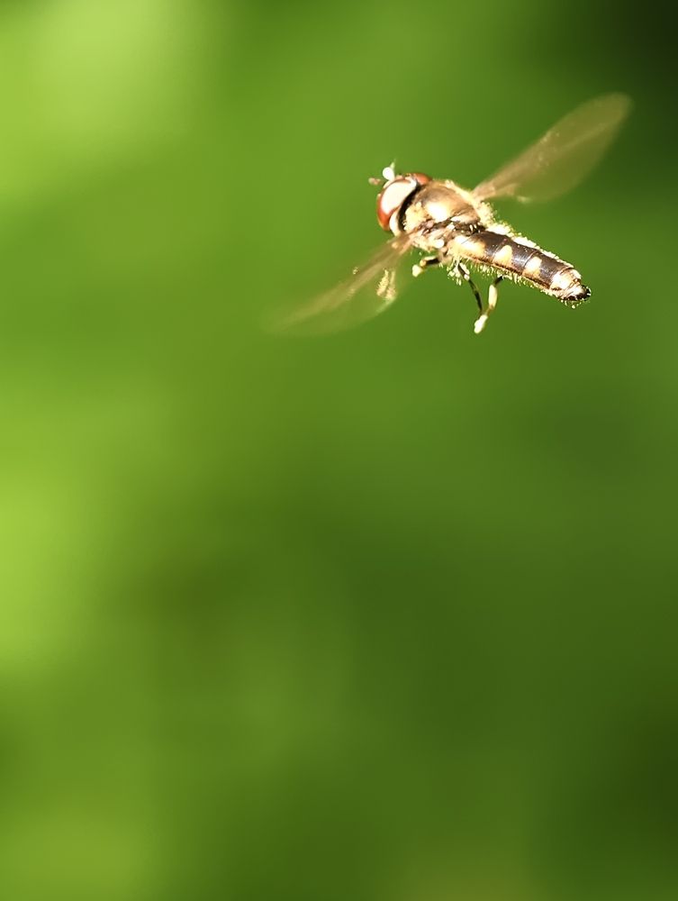 Photograph by Евгений Аксененко